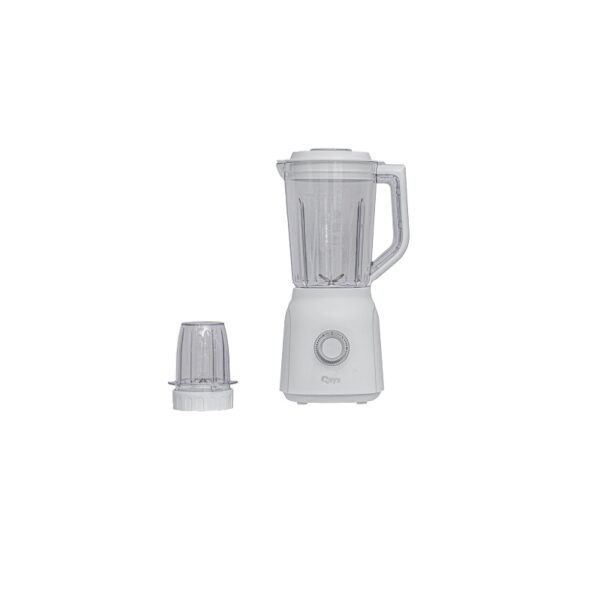 Rays 2 in 1 Blender Grinder BL-250WP