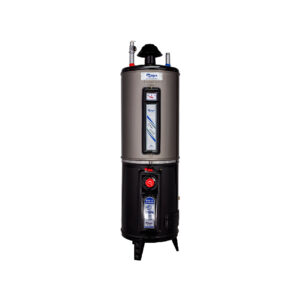 Rays Gas Storage Geyser 25G Standard